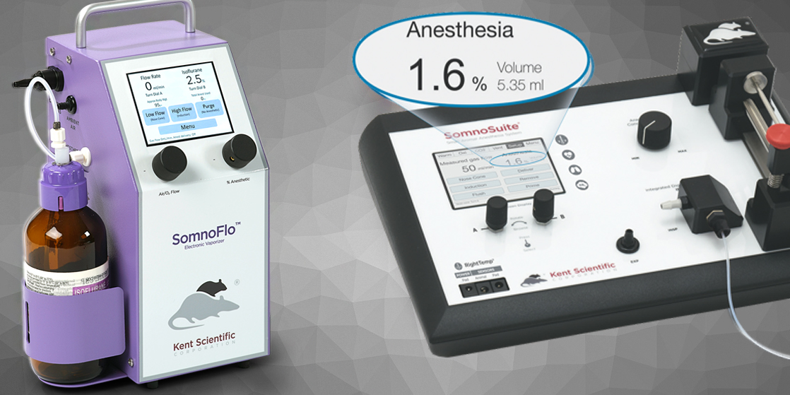 Anesthesia system