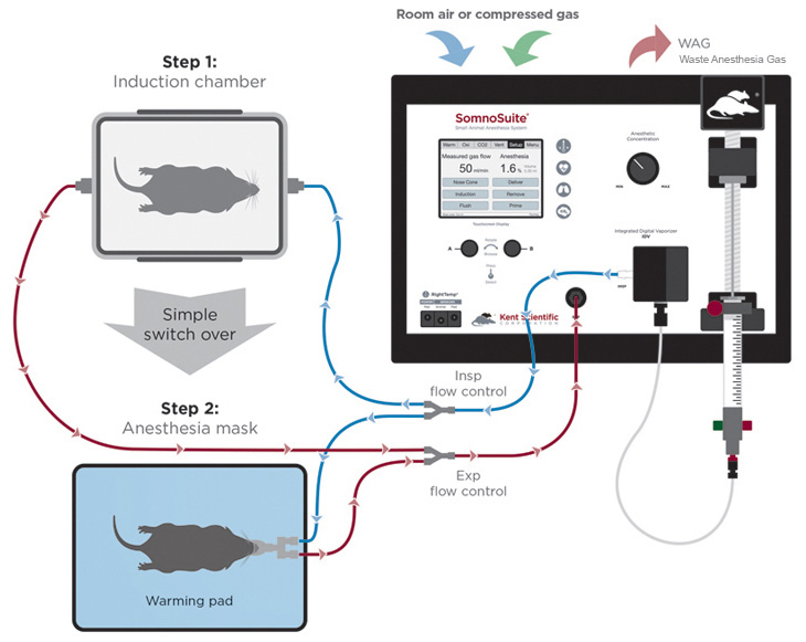 SomnoSuite-set-up-diagram