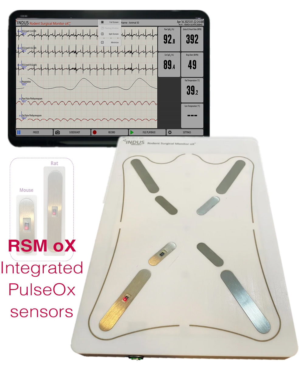 Rodent Monitor Indus