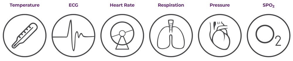 Rodent-monitor-measurements