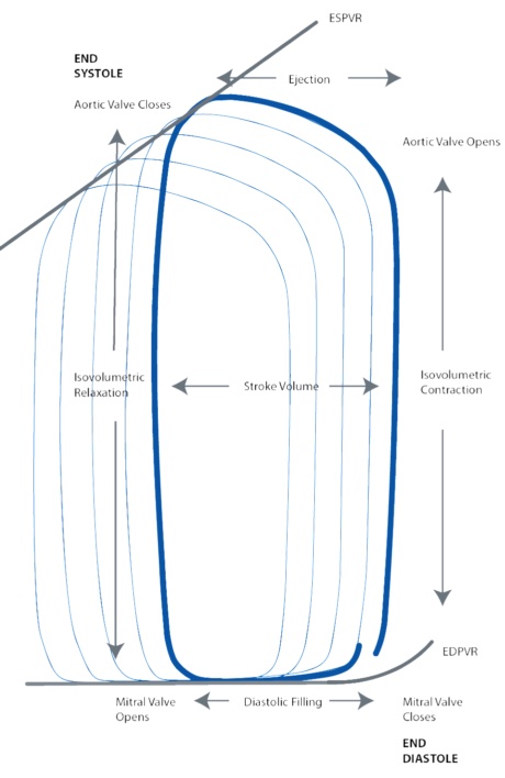 pv-loop-diagram