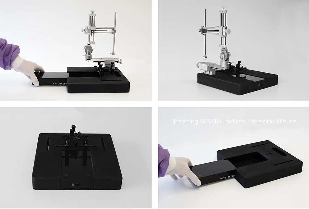 MARTA STEREOTAX MOUSE 