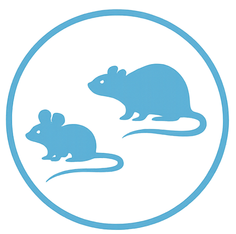 Mouse rat icon
