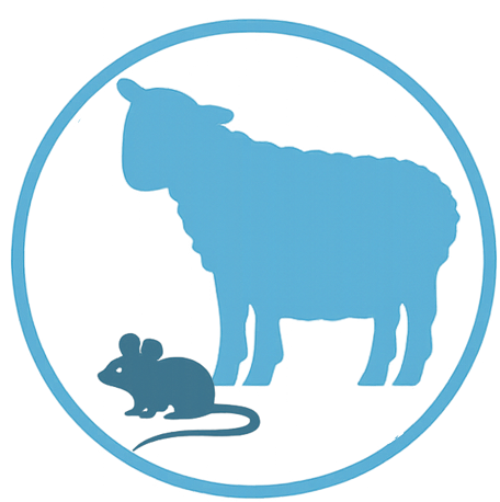 large-small-animal-icon