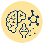 Brain chemistry