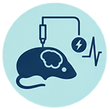 electrolytic